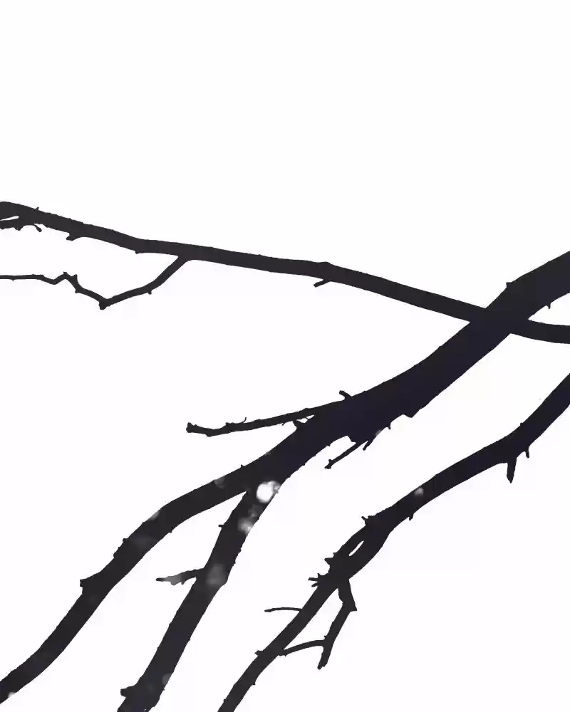 I’M The Grim Reaper Chapter 46