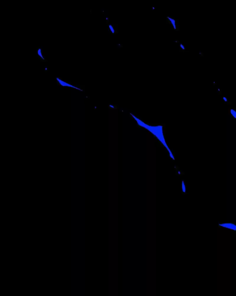 I’M The Grim Reaper Chapter 53