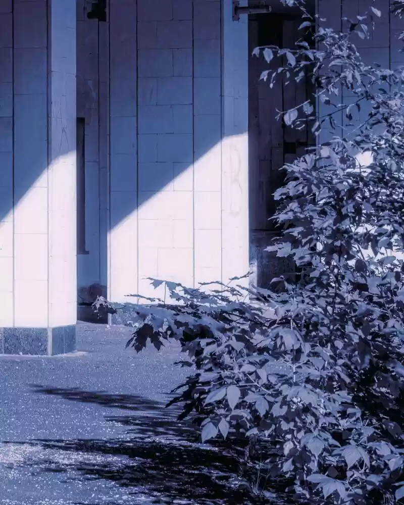 I’M The Grim Reaper Chapter 63