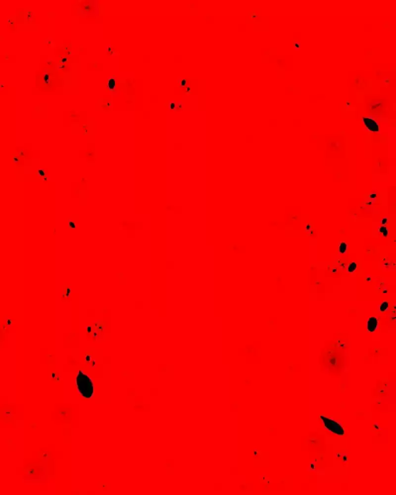 I’M The Grim Reaper Chapter 63