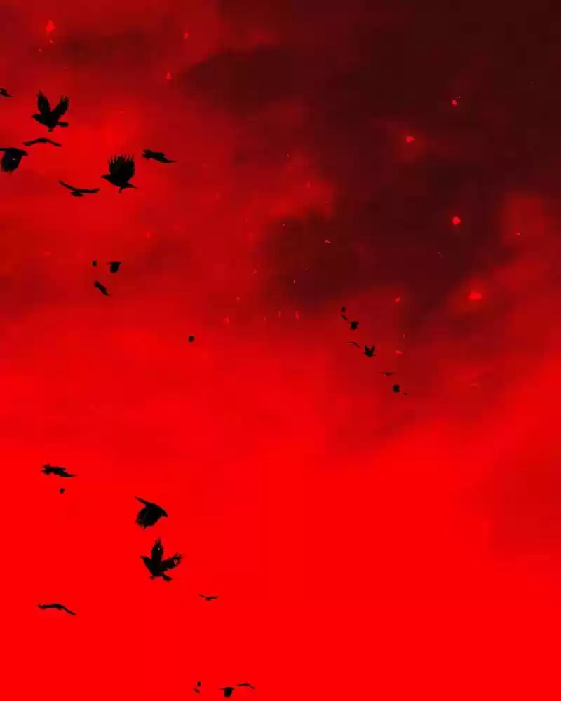 I’M The Grim Reaper Chapter 72