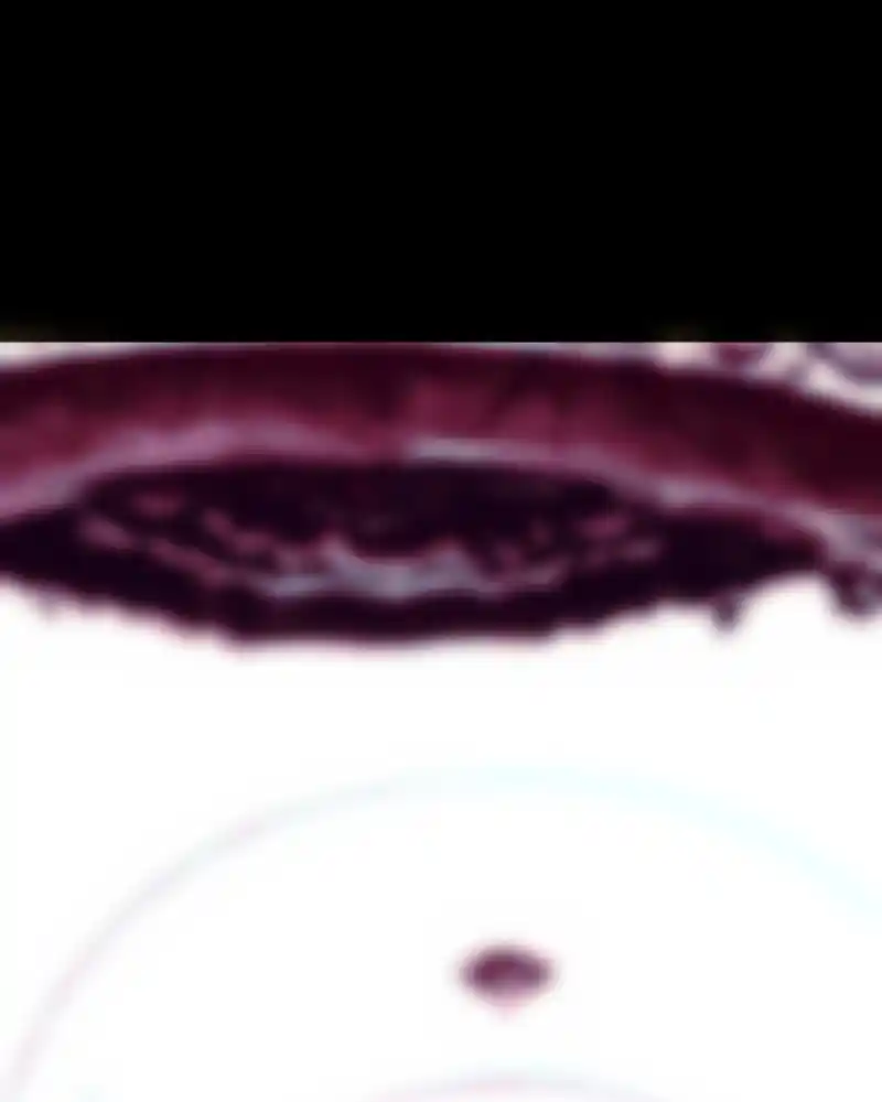 I’M The Grim Reaper Chapter 82