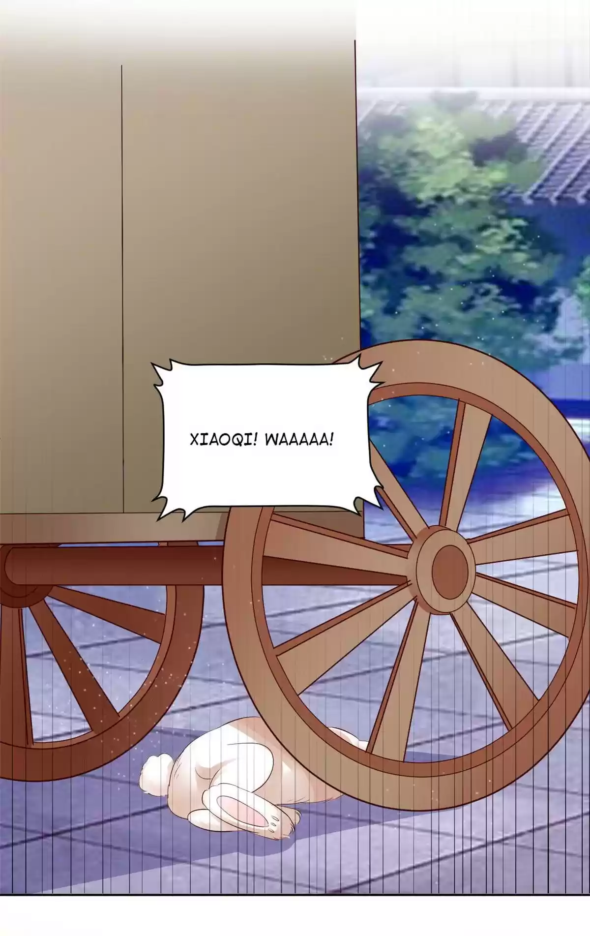 Imperial Splendor 105