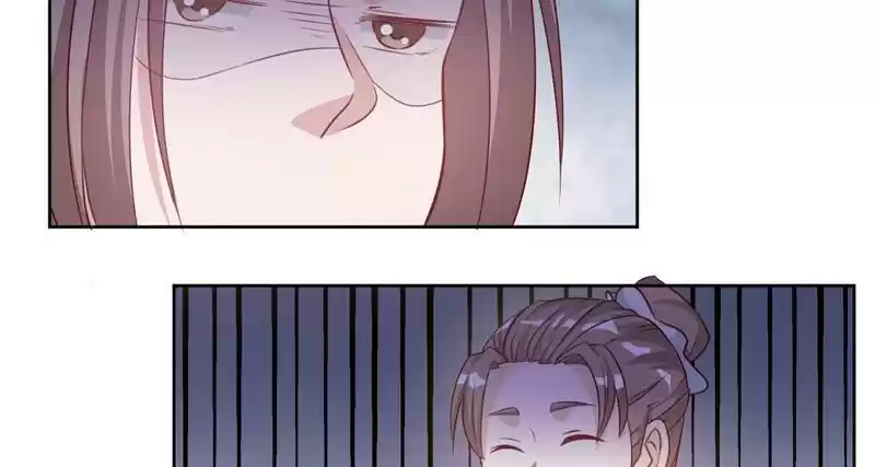 Imperial Splendor 25 Flying Phoenix