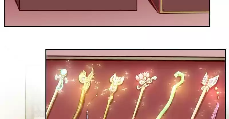 Imperial Splendor 25 Flying Phoenix