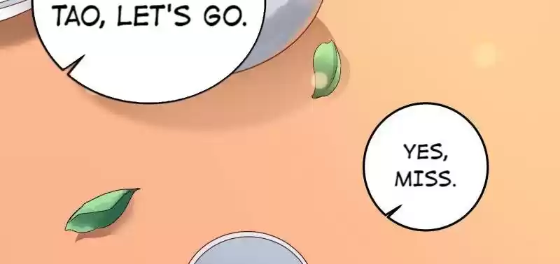 Imperial Splendor 6 Entering the Palace