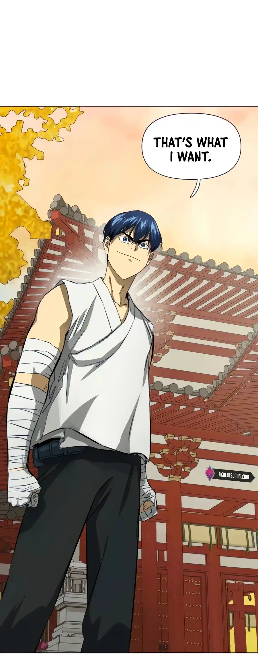 Infinite Leveling: Murim Chapter 118