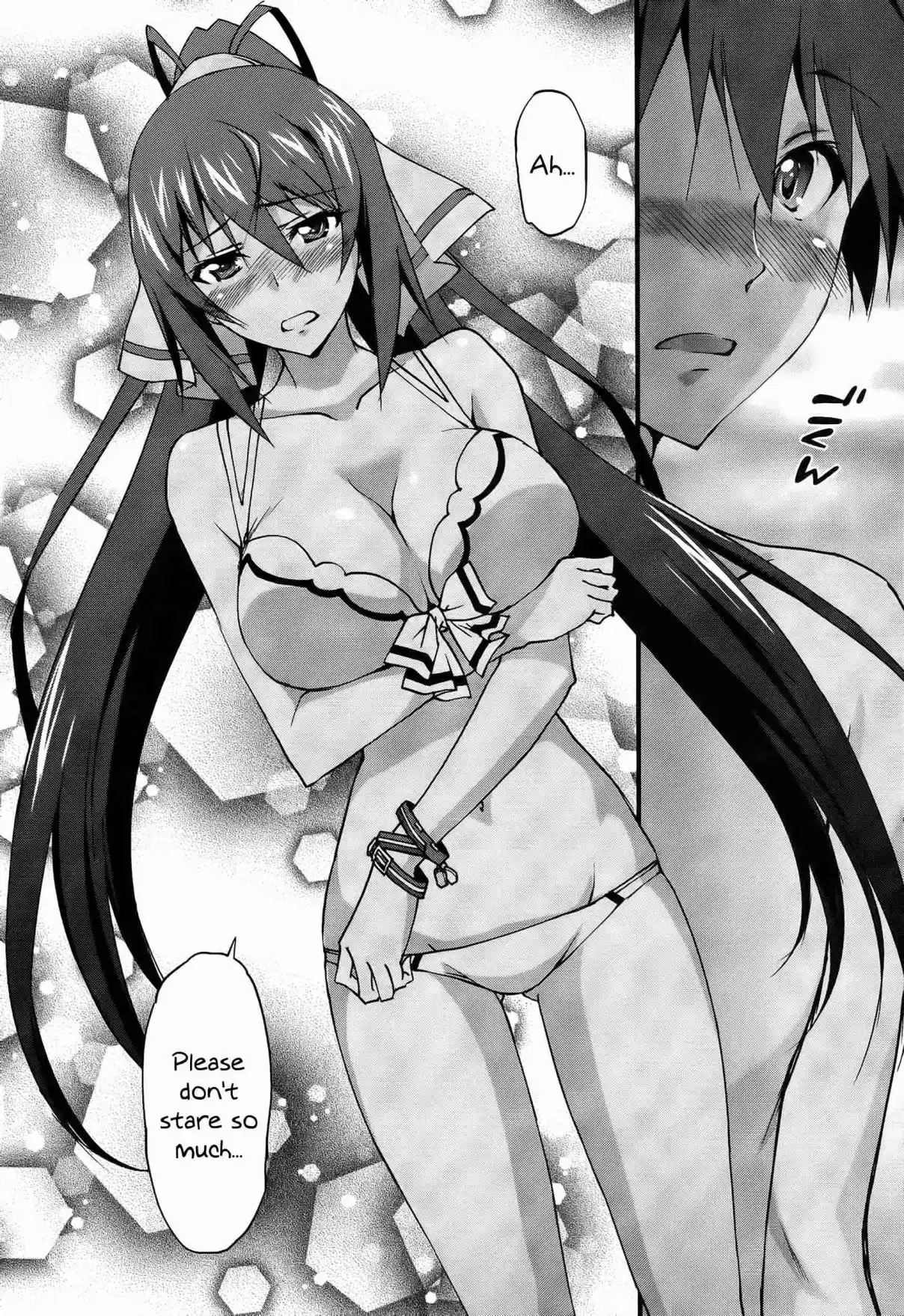 Infinite Stratos (YUUKI Homura) Ch. 30
