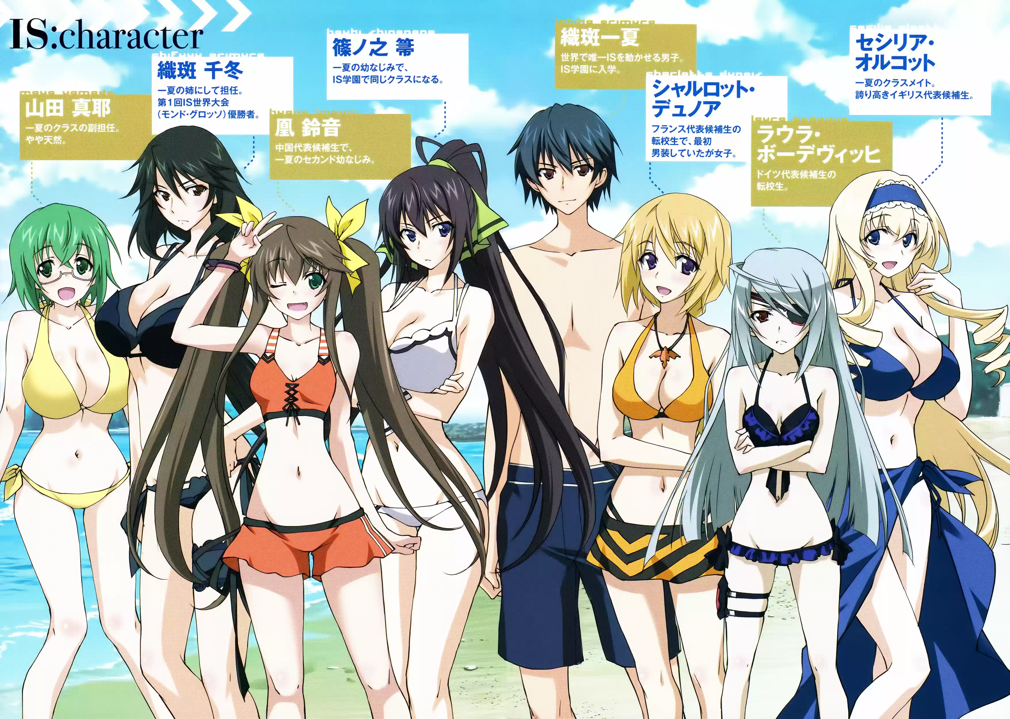 Infinite Stratos (YUUKI Homura) Vol.5 Ch.22