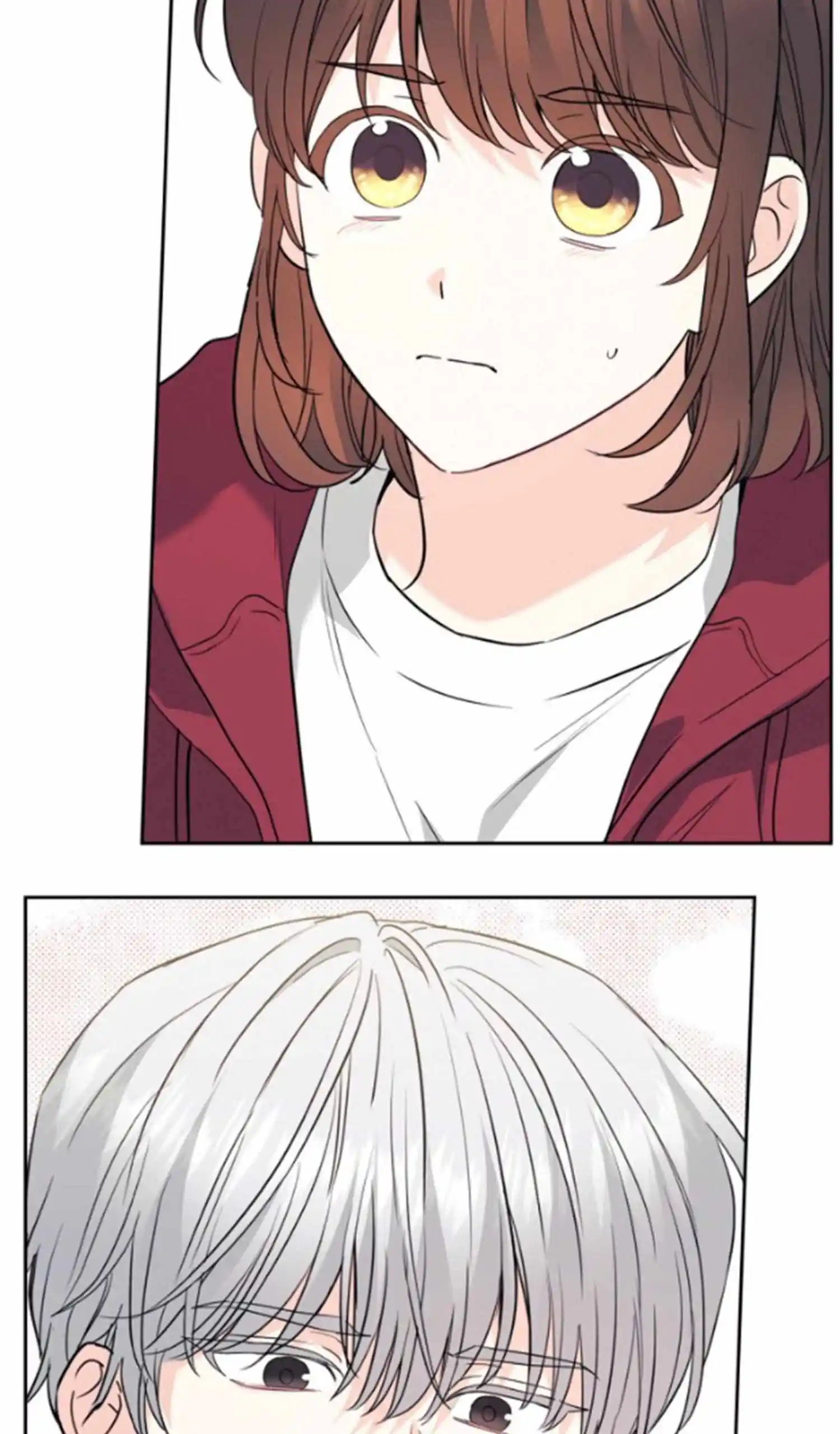 Inso's Law Chapter 183