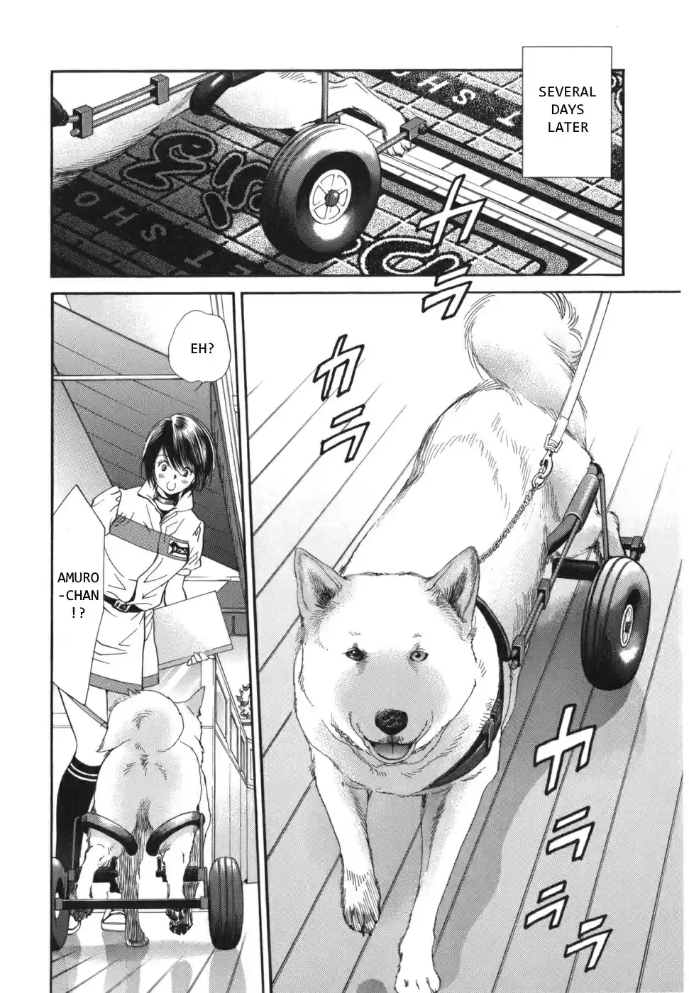 Inubaka Vol. 16 Ch. 165 V Emblem