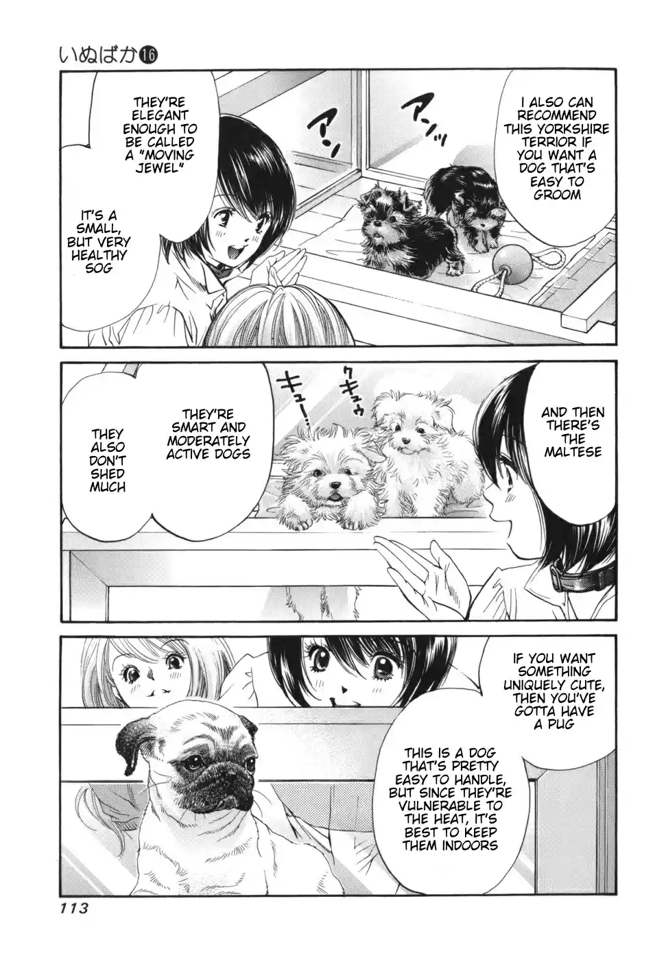 Inubaka Vol. 16 Ch. 168 Serina Wants a Dog!