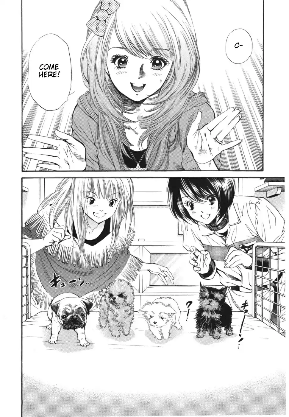 Inubaka Vol. 16 Ch. 168 Serina Wants a Dog!