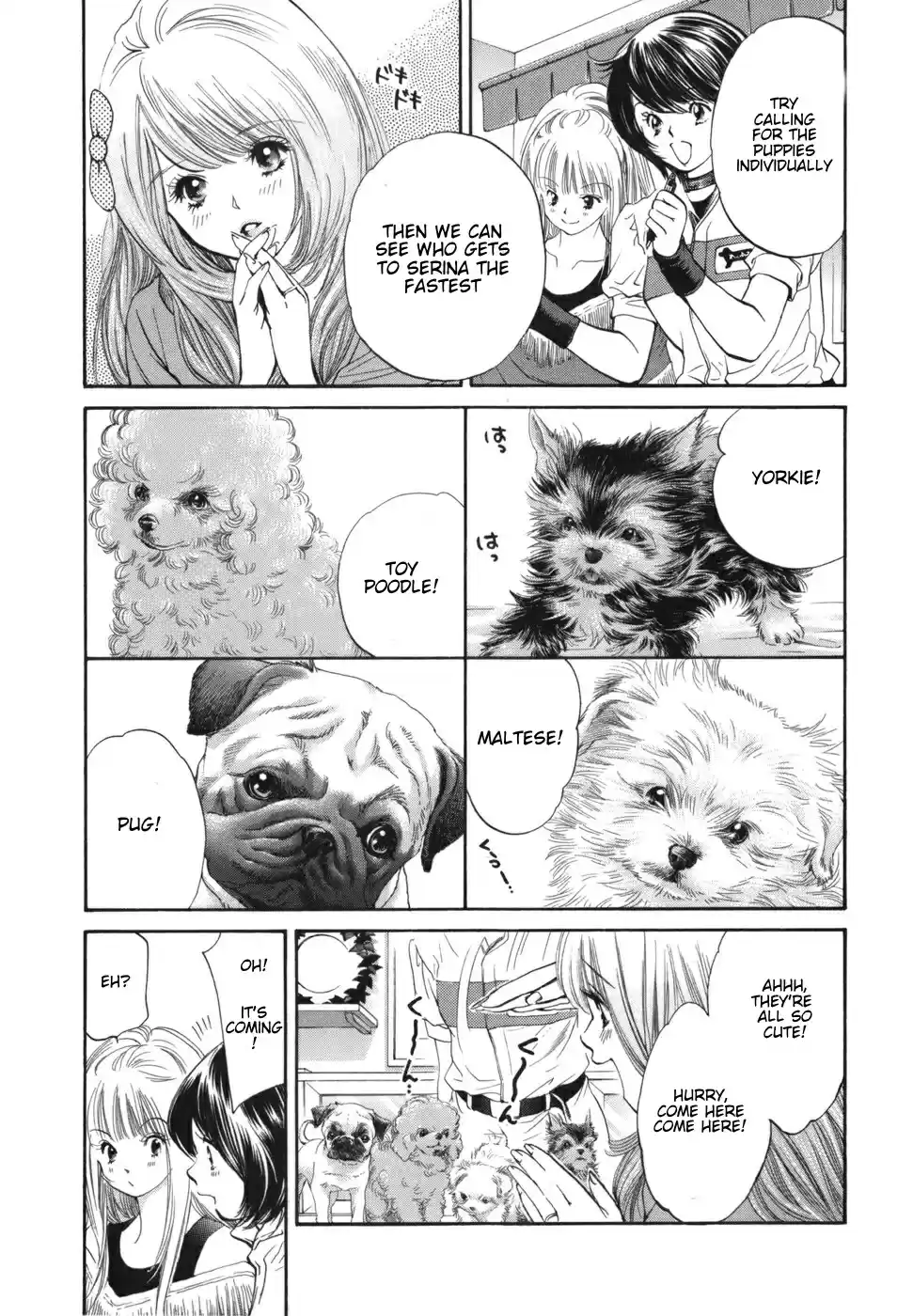 Inubaka Vol. 16 Ch. 169 Serina's a New Mom