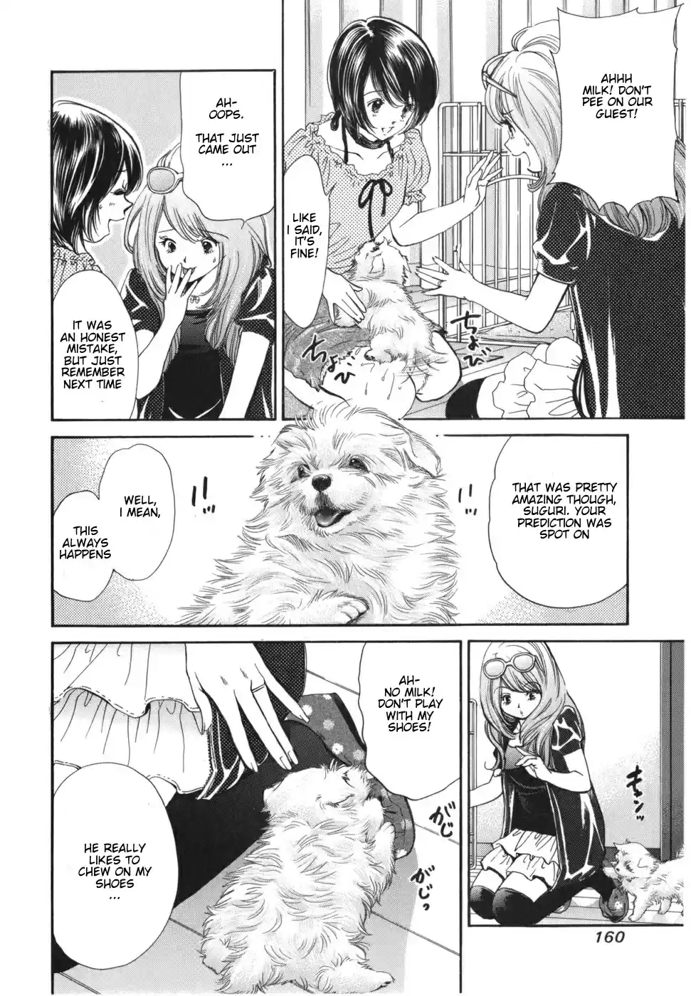 Inubaka Vol. 16 Ch. 171 Serina, This Looks Bad...