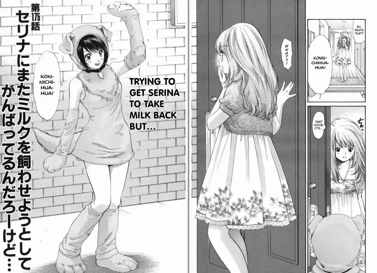 Inubaka Vol. 17 Ch. 175 Will Serina Take Milk Back?