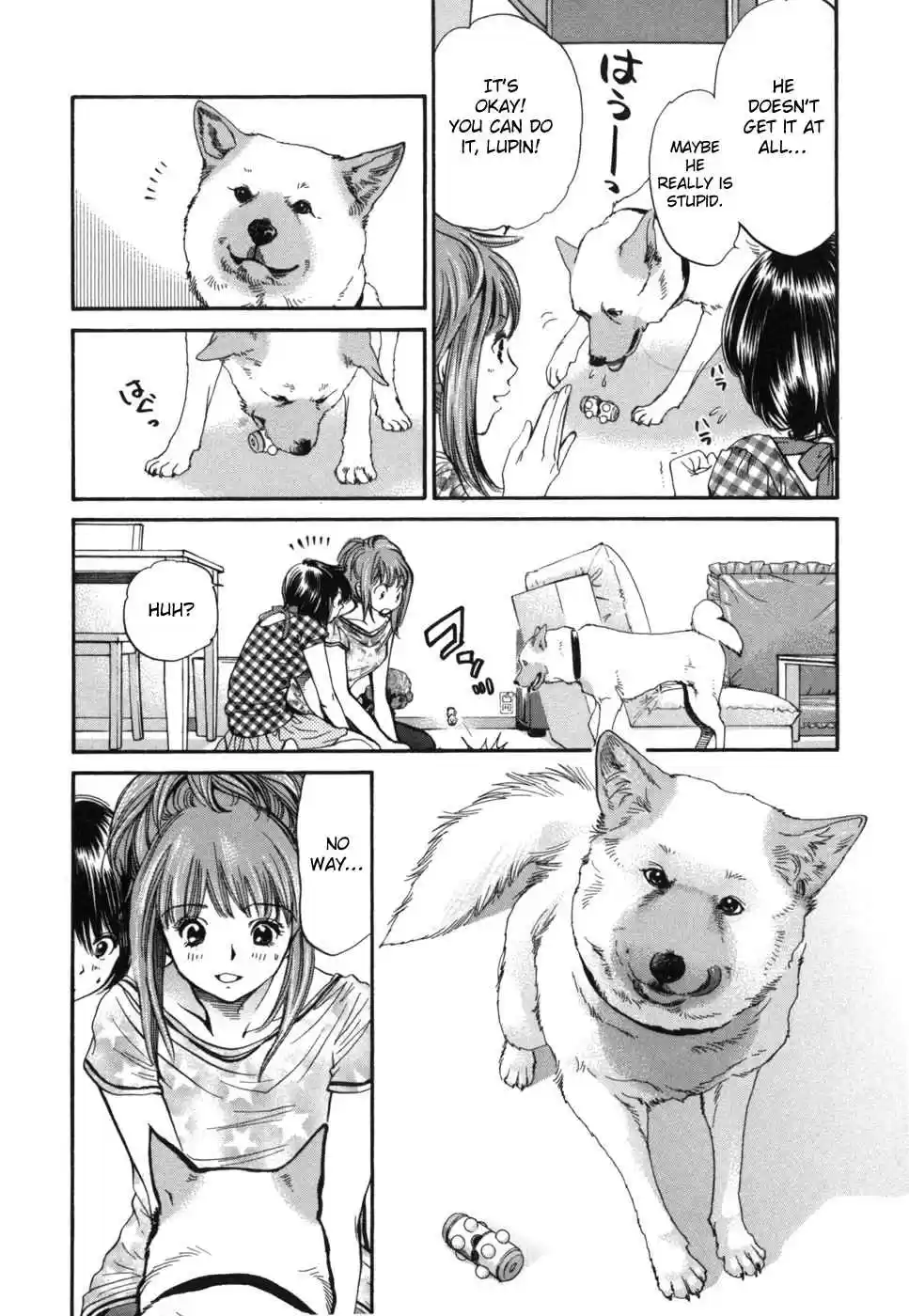 Inubaka Vol. 17 Ch. 178 Lupin's Snack Acquisition Strategy