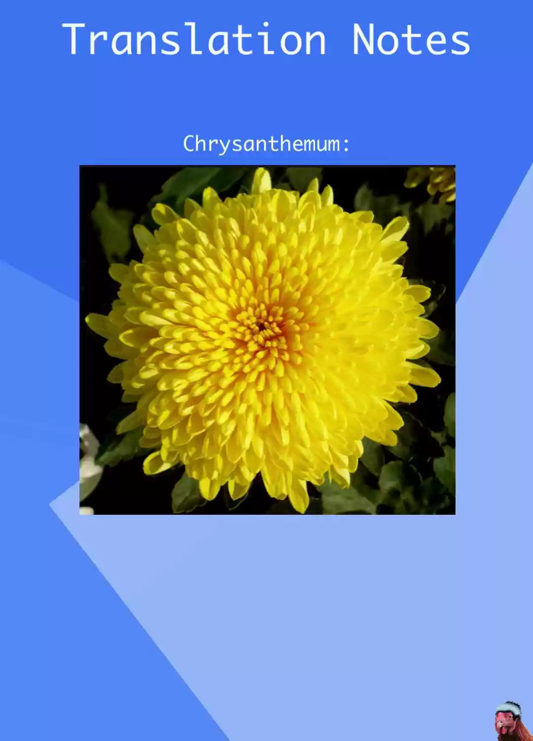 Iron Ladies Ch. 274 Triggered the Old Man, Now He Even Dares to Beat up God