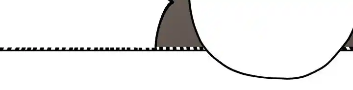 Iron Mech Bride Chapter 29