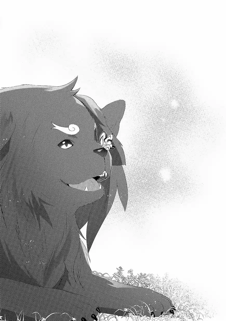 Isekai de "Kuro no Iyashi Te" tte Yobarete Imasu 29