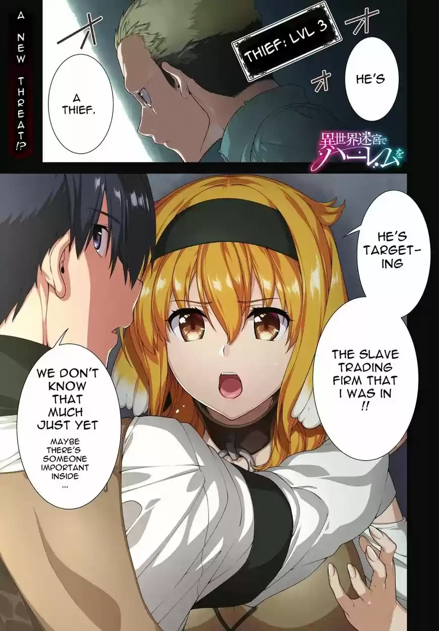 Isekai Meikyuu de Harem o 19