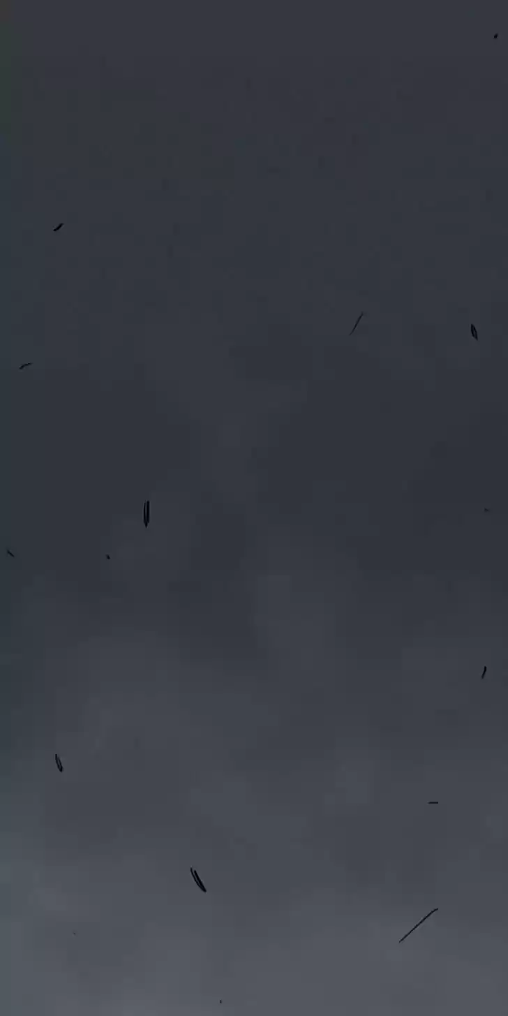 Item (KIM Junseok) Ch.059