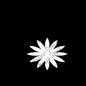 It's Not Like That, Darling 13