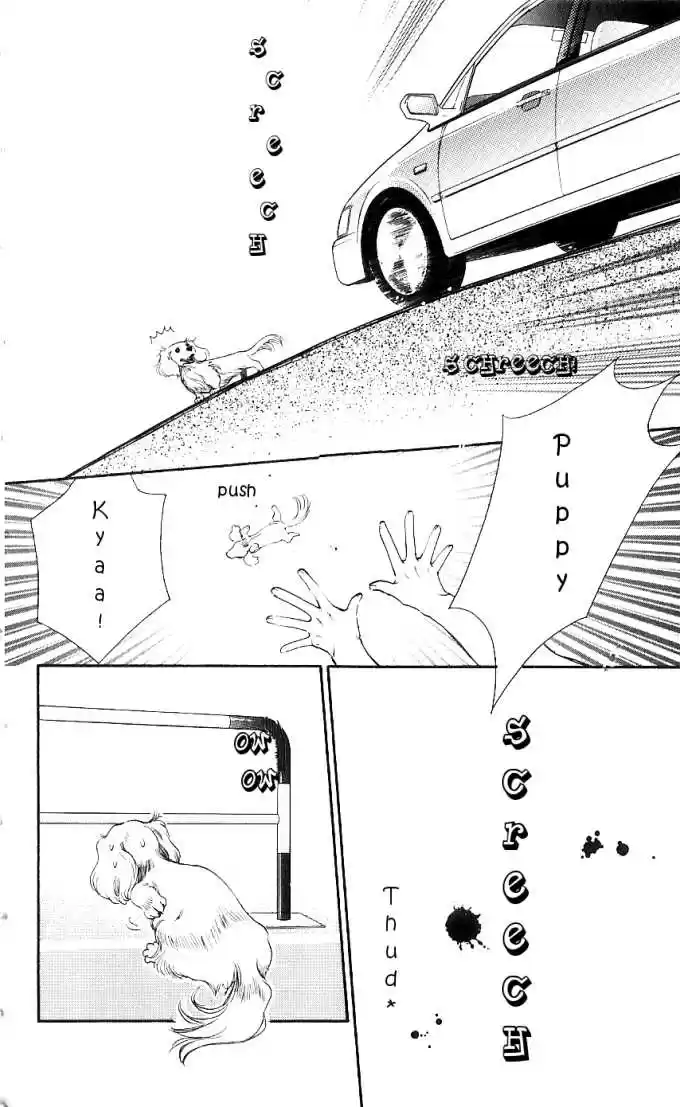 It's Not Like That, Darling 13