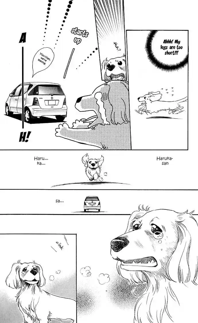 It's Not Like That, Darling 14