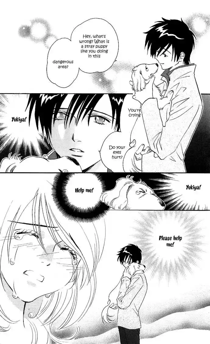 It's Not Like That, Darling 14