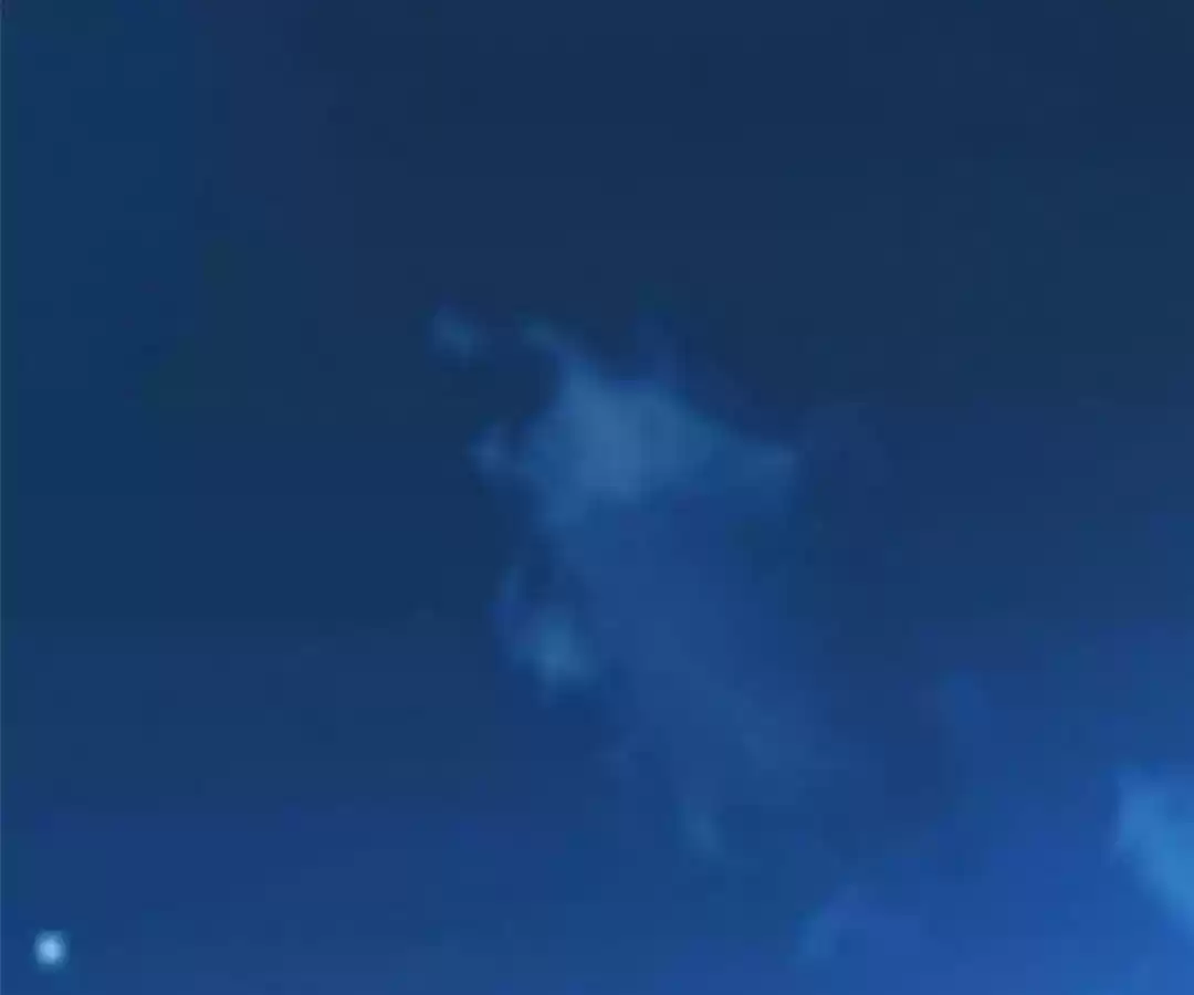 Jerk, You Can't Escape Chapter 20