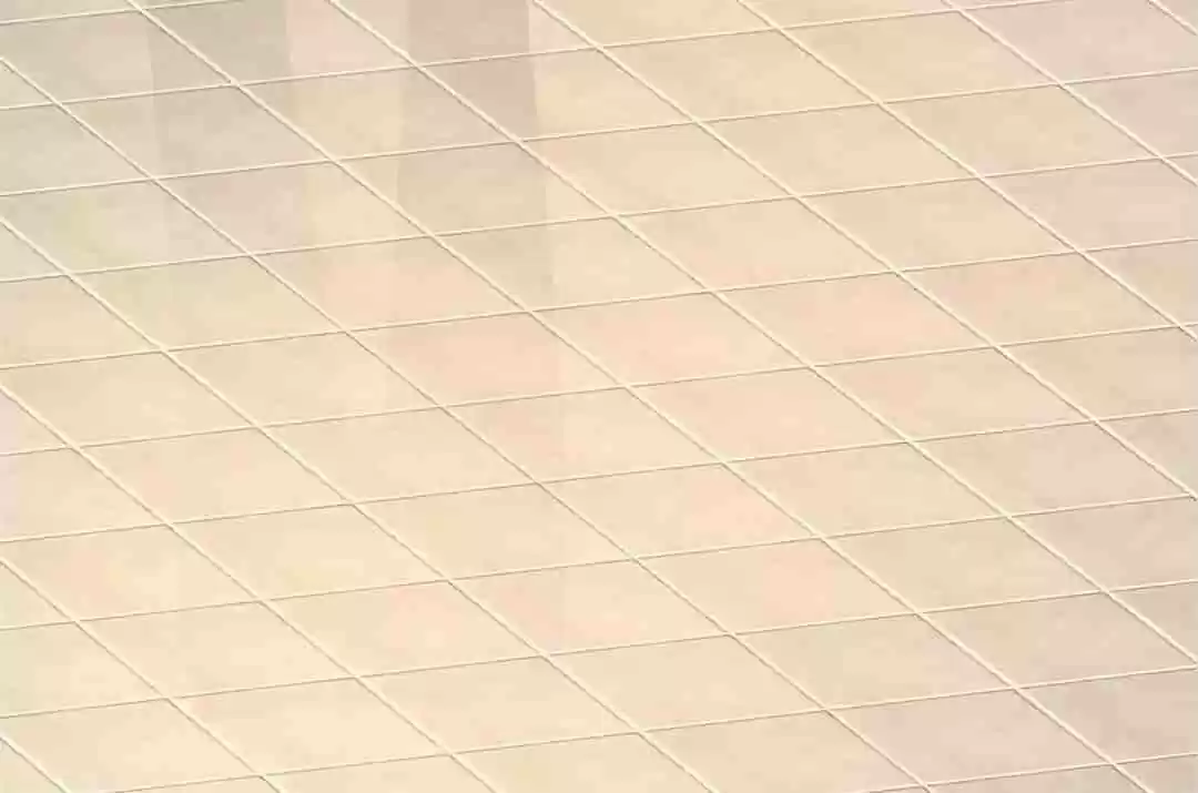 Jerk, You Can't Escape Chapter 261