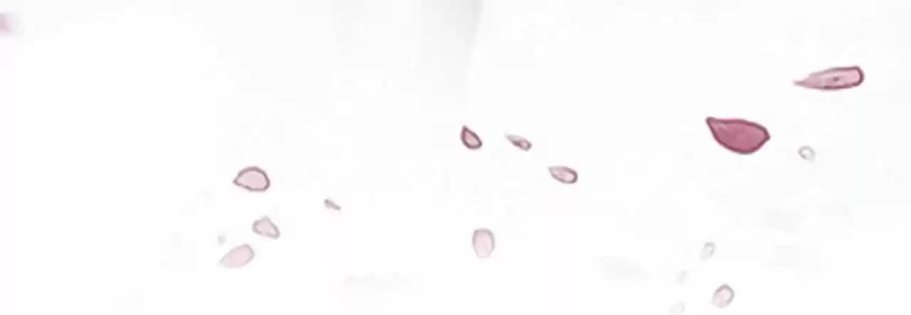 Jia Gei Yi Ge Si Tai Jian Vol.01 Ch.036