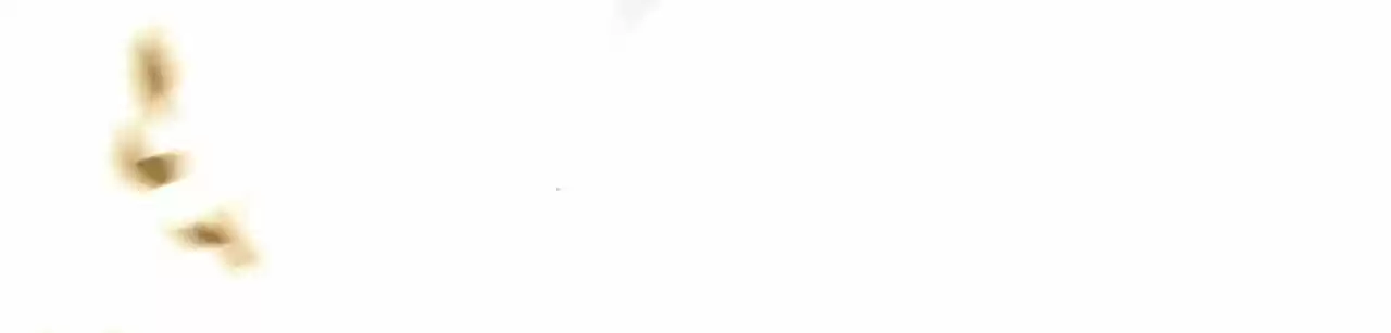 Jia Gei Yi Ge Si Tai Jian Vol.01 Ch.039