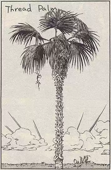 Jojo no Kimyou na Bouken 143