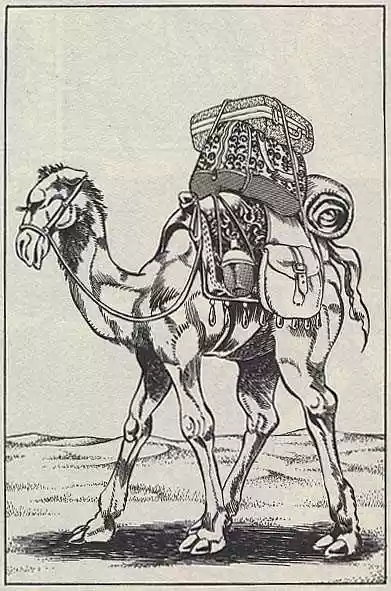 Jojo no Kimyou na Bouken 163