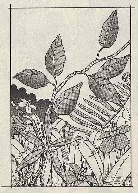 Jojo no Kimyou na Bouken 172