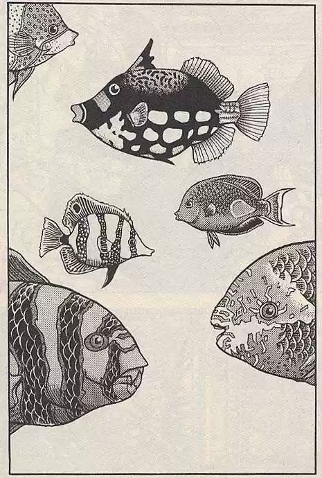 Jojo no Kimyou na Bouken 182