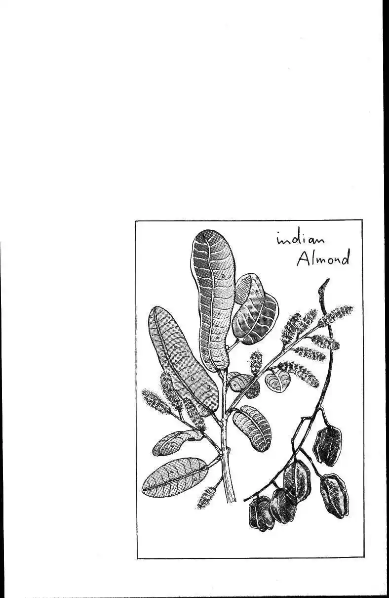 JoJo’s Bizarre Adventure Chapter 157