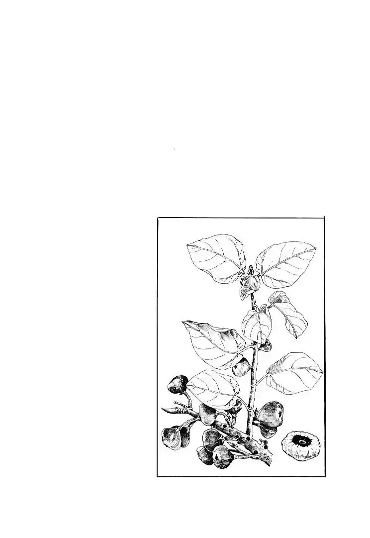 JoJo’s Bizarre Adventure Chapter 165