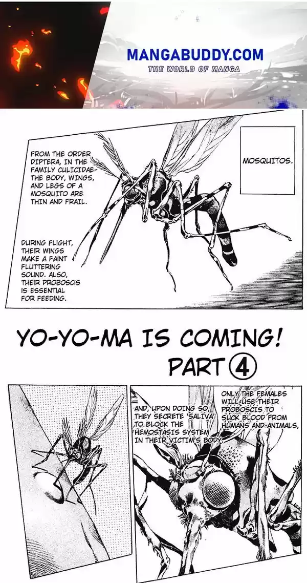 Jojo's Bizarre Adventure Chapter 675