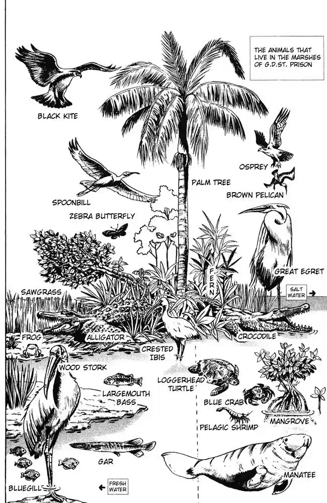 Jojo's Bizarre Adventure Chapter 678