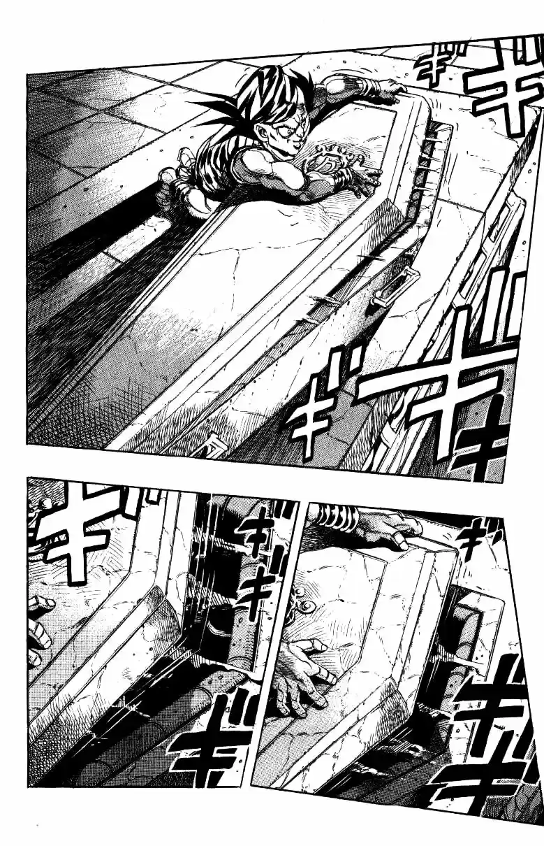 JoJo's Bizarre Adventure Part 3 Stardust Crusaders Vol. 15 Ch. 135