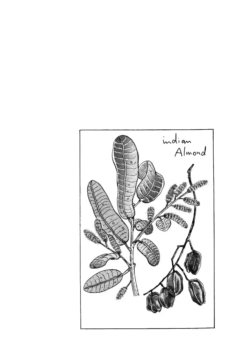 JoJo's Bizarre Adventure Part 3 Stardust Crusaders Vol. 5 Ch. 44