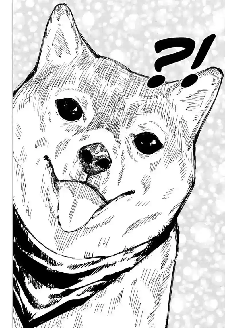 Jujutsu Kaisen Chapter 68: