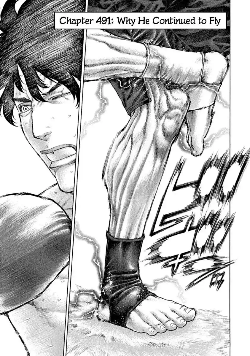 Karate Shoukoushi Kohinata Minoru Vol. 49 Ch. 491 Why He Continued to Fly