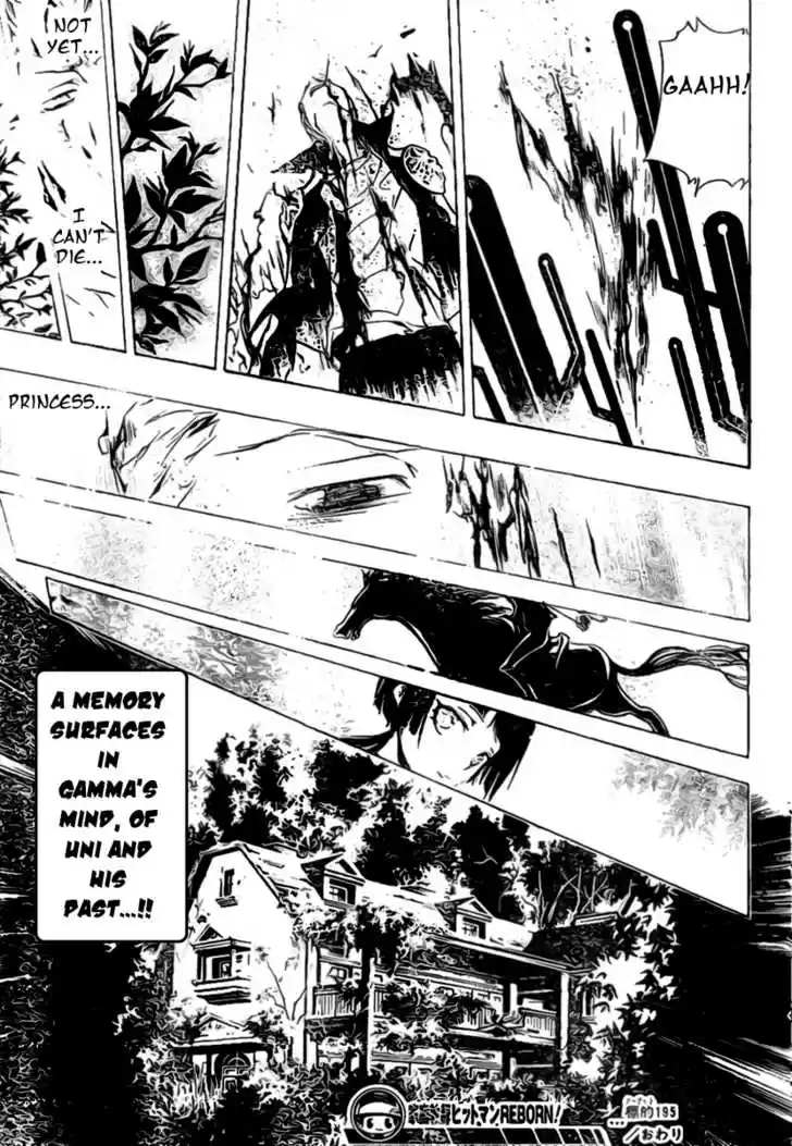 Kateikyoushi Hitman Reborn! 195