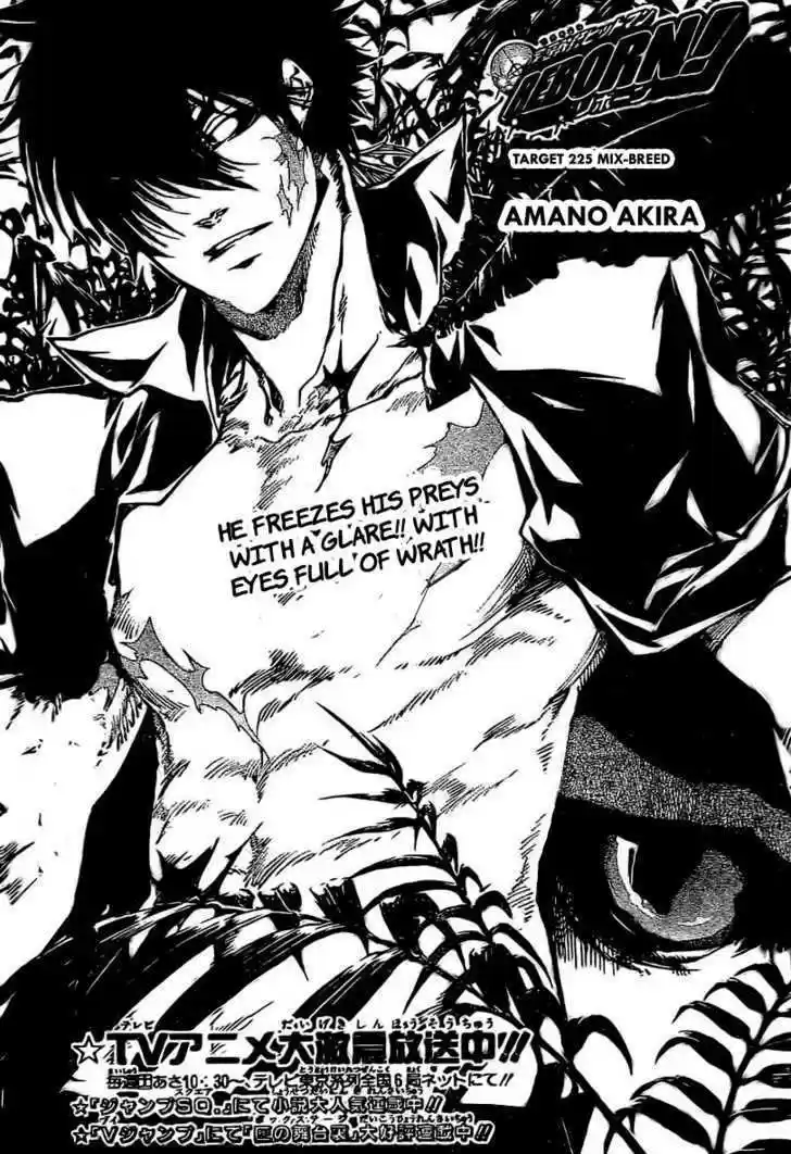 Kateikyoushi Hitman Reborn! 225