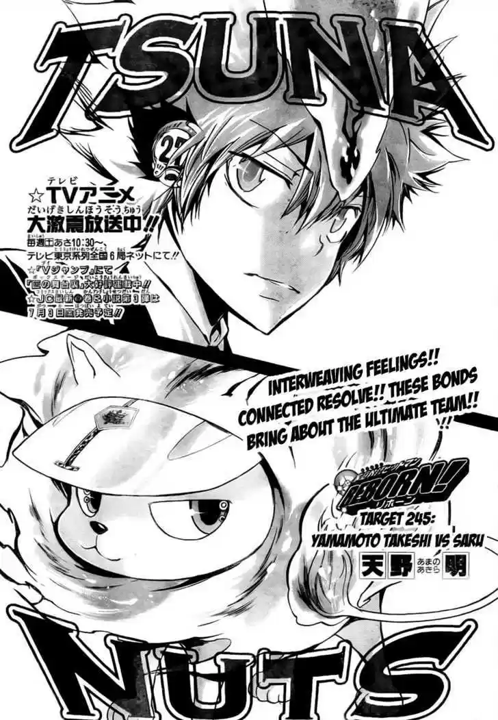 Kateikyoushi Hitman Reborn! 245