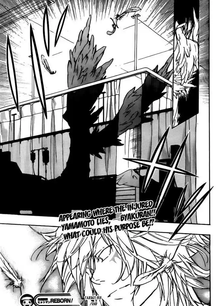 Kateikyoushi Hitman Reborn! 313